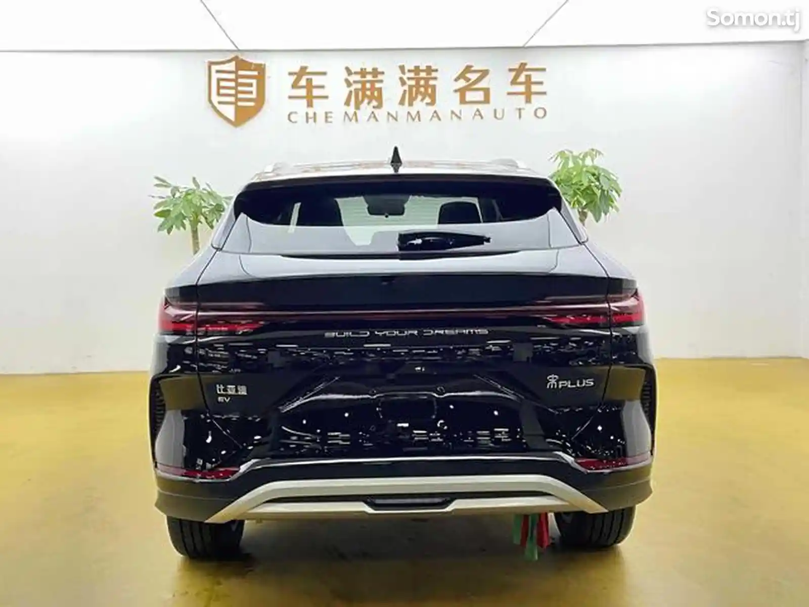 BYD Song Plus Flagship, 2023-3