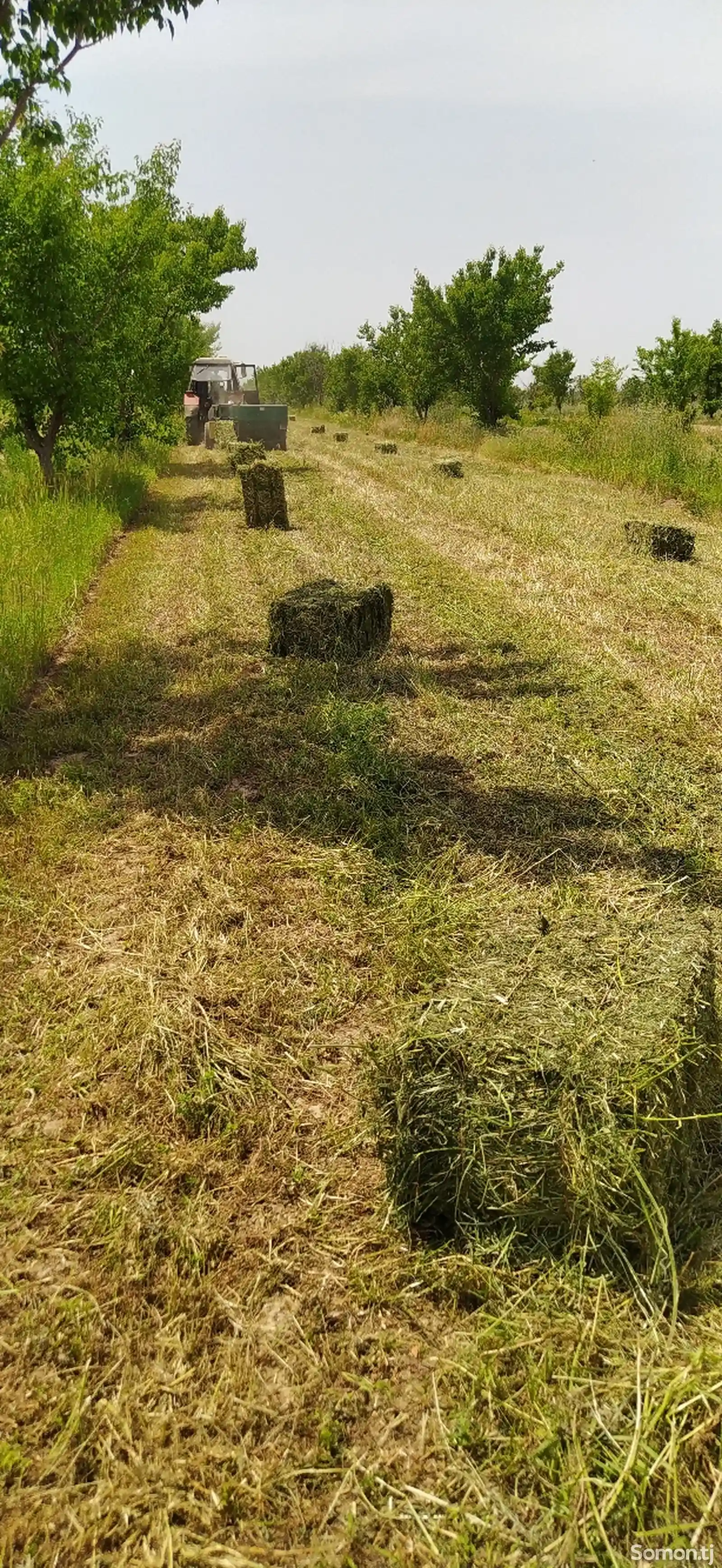 Пресс подборщик-3