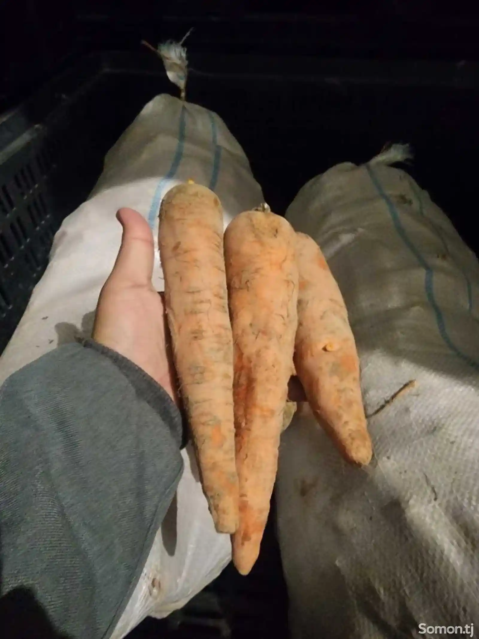 Сабзи/морковь-1