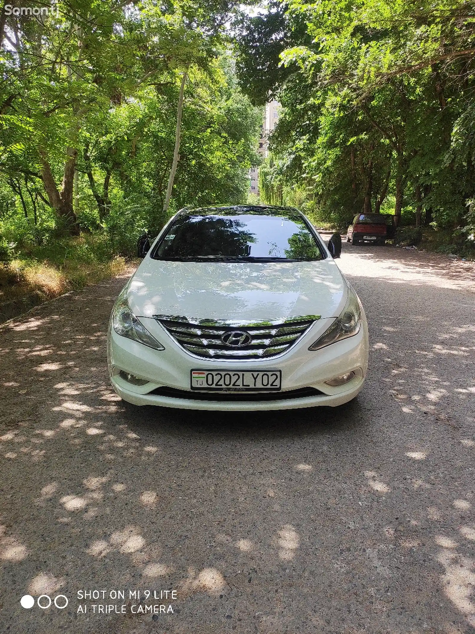 Hyundai Sonata, 2010-1