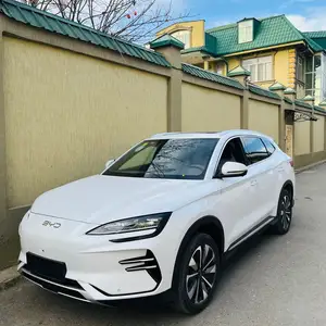 BYD Song Plus Flagship, 2024