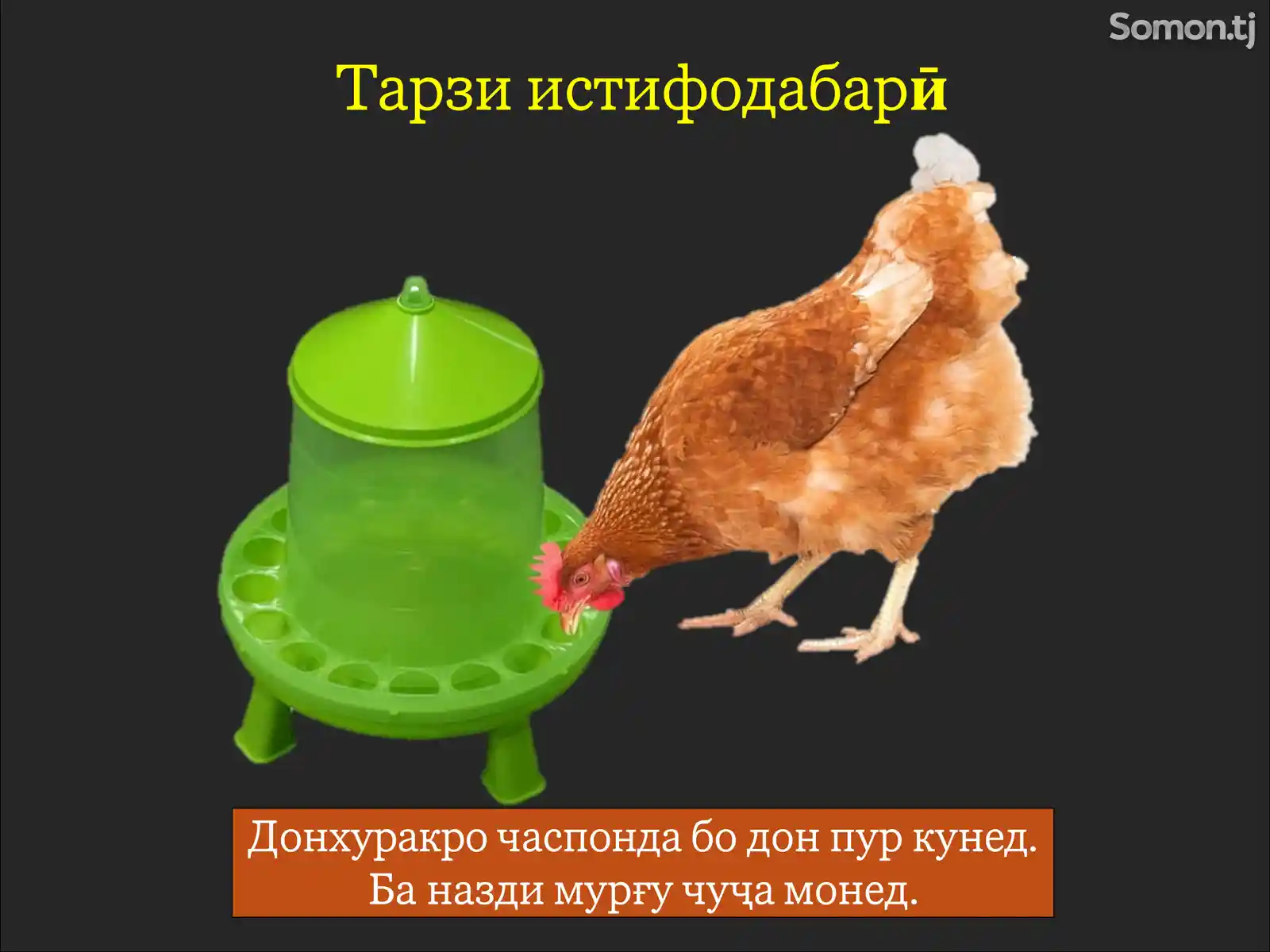 Донхурак Кормушка с ножками 4/8-4