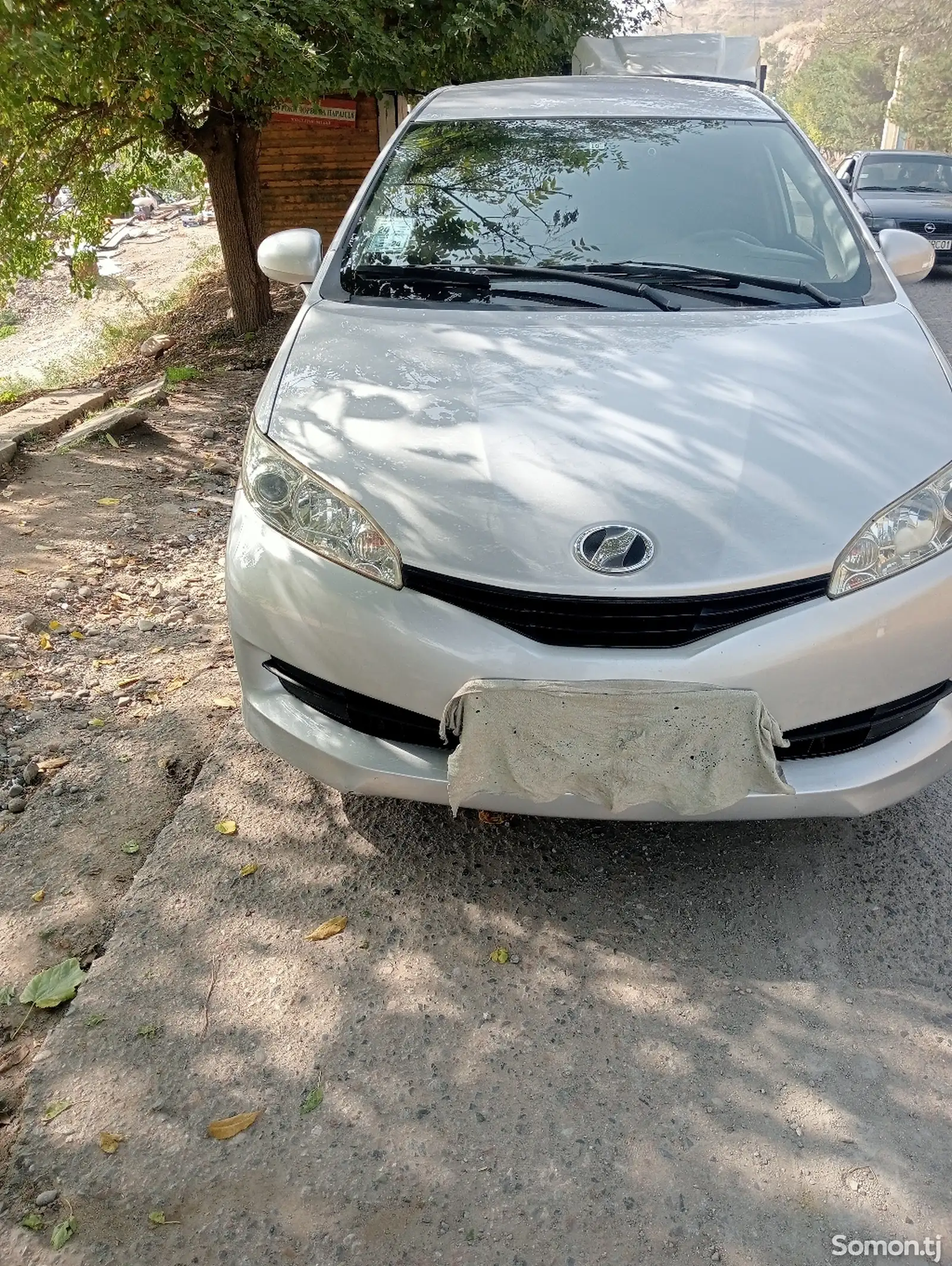 Toyota Wish, 2010-1