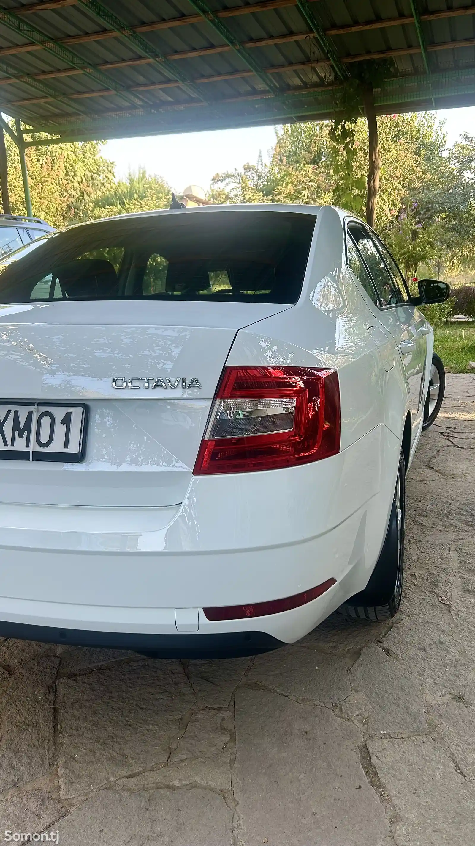 Skoda Octavia, 2019-5