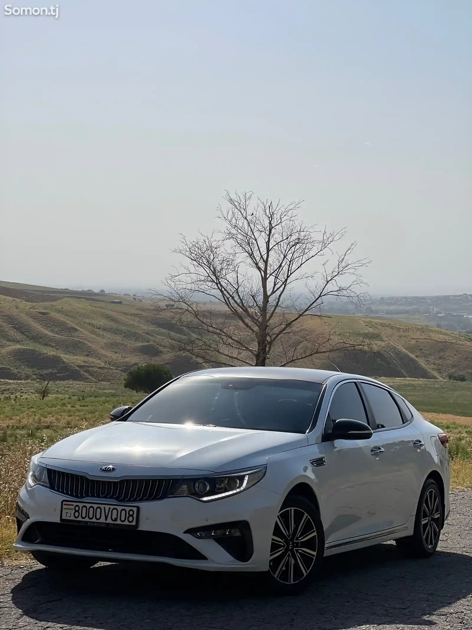 Kia Optima, 2019-8