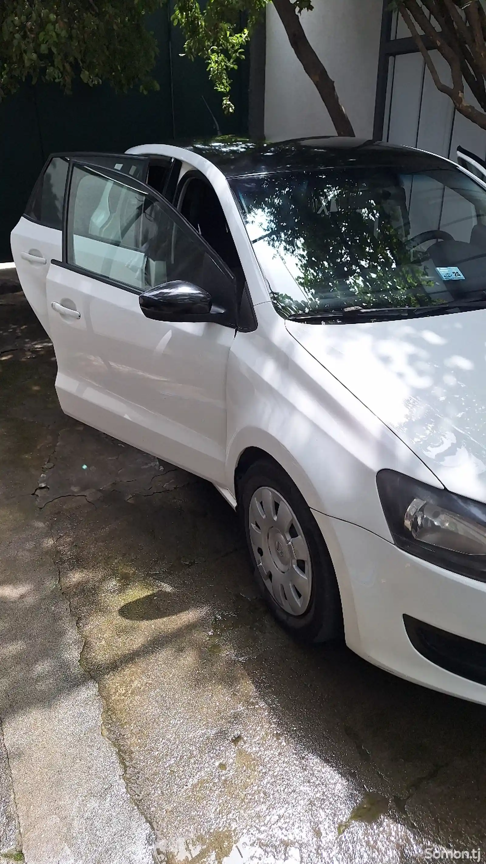 Volkswagen Polo, 2010-9