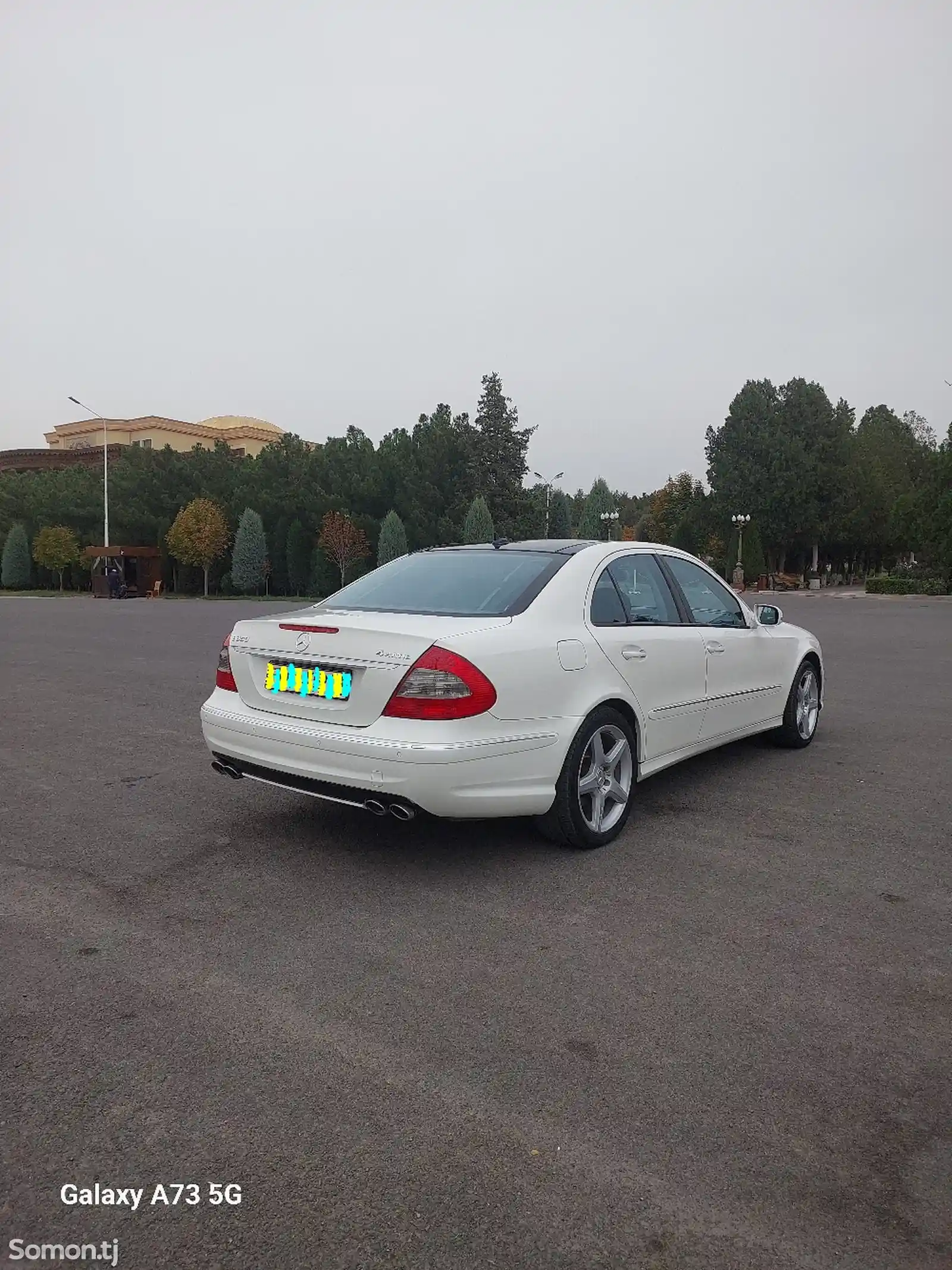 Mercedes-Benz E class, 2008-4