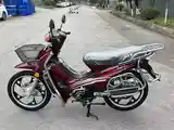 Утка GLX-SUZUKI-125cc куба-2