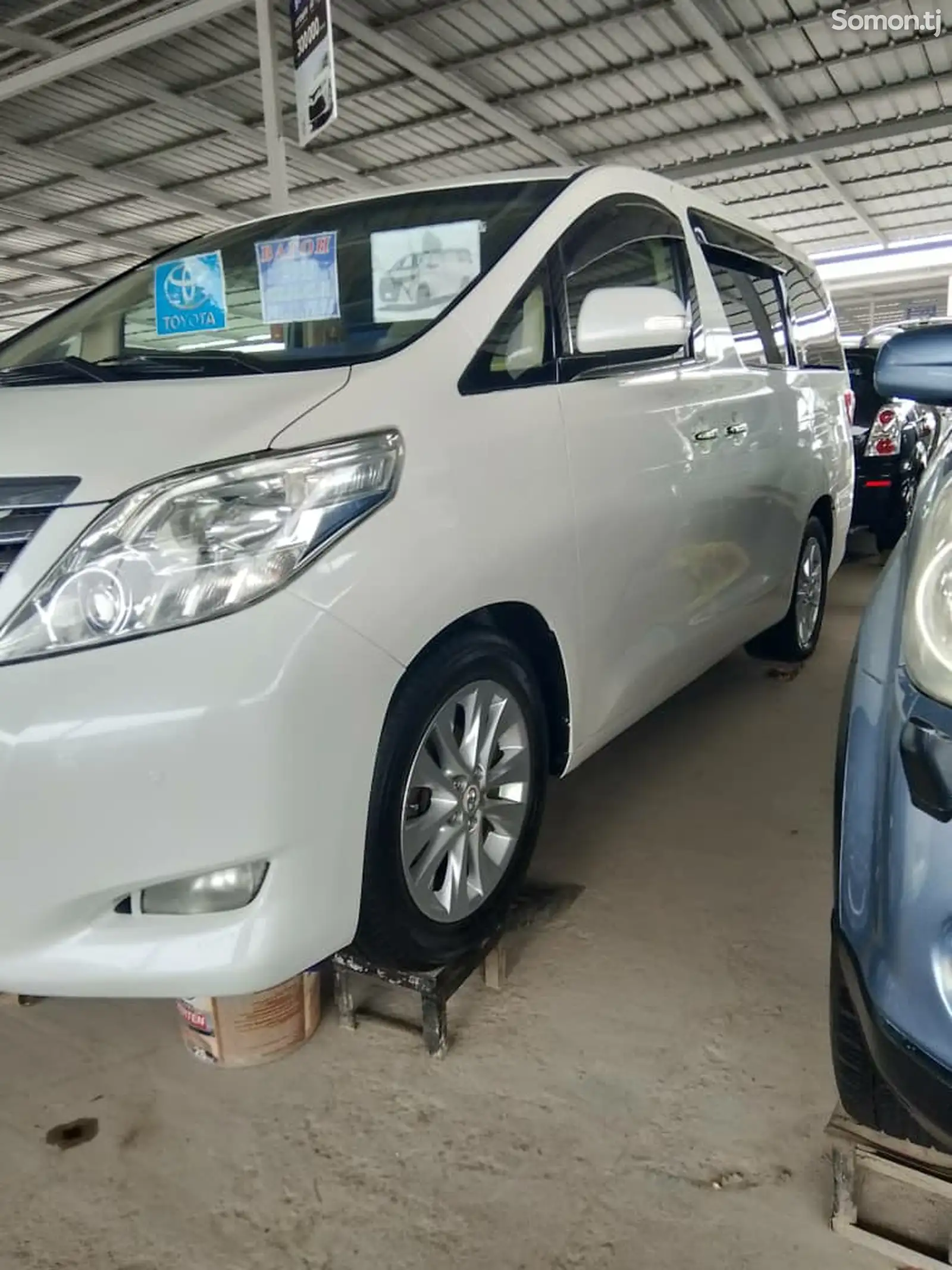 Toyota Alphard, 2009-1