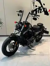 Мотоцикл Harley-Davidson Sportster на заказ-2