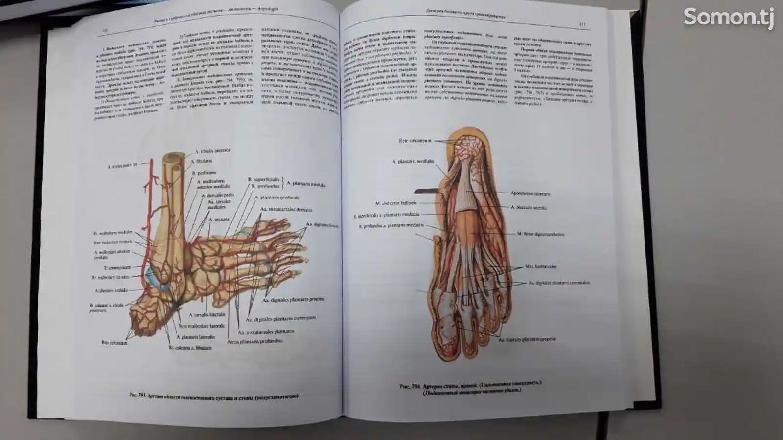 Книга Атлас анатомии человека-2