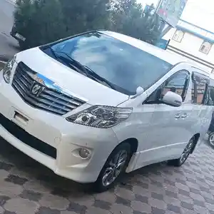 Toyota Alphard, 2010