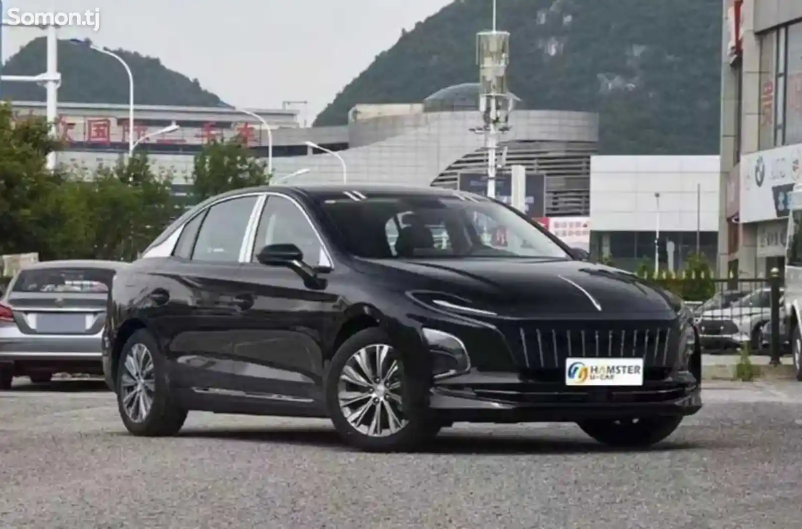 Hongqi E-QM5, 2024-1