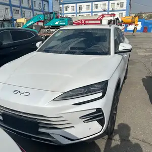 BYD Song Plus Flagship, 2024