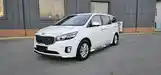 Kia Carnival, 2014-9