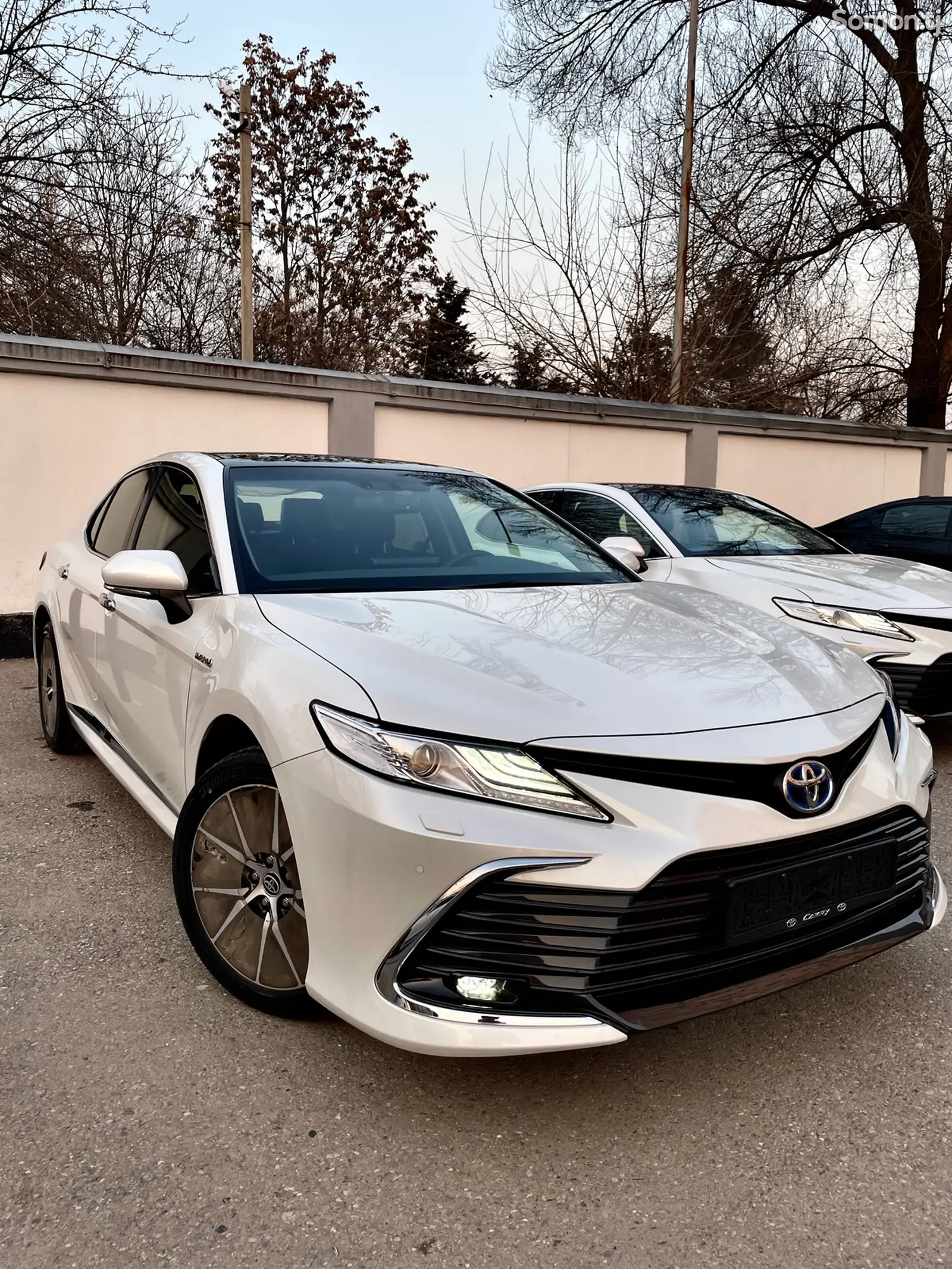 Toyota Camry, 2024-1