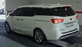 Kia Carnival, 2014-3