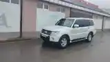 Mitsubishi Pajero, 2009-3