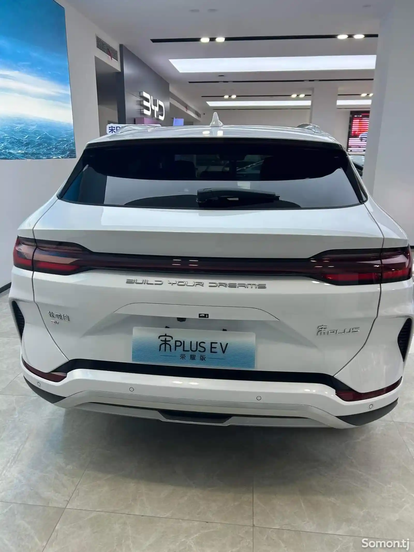 BYD Song Plus Flagship, 2024-7