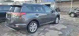 Toyota RAV 4, 2016-6