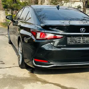 Lexus ES series, 2020