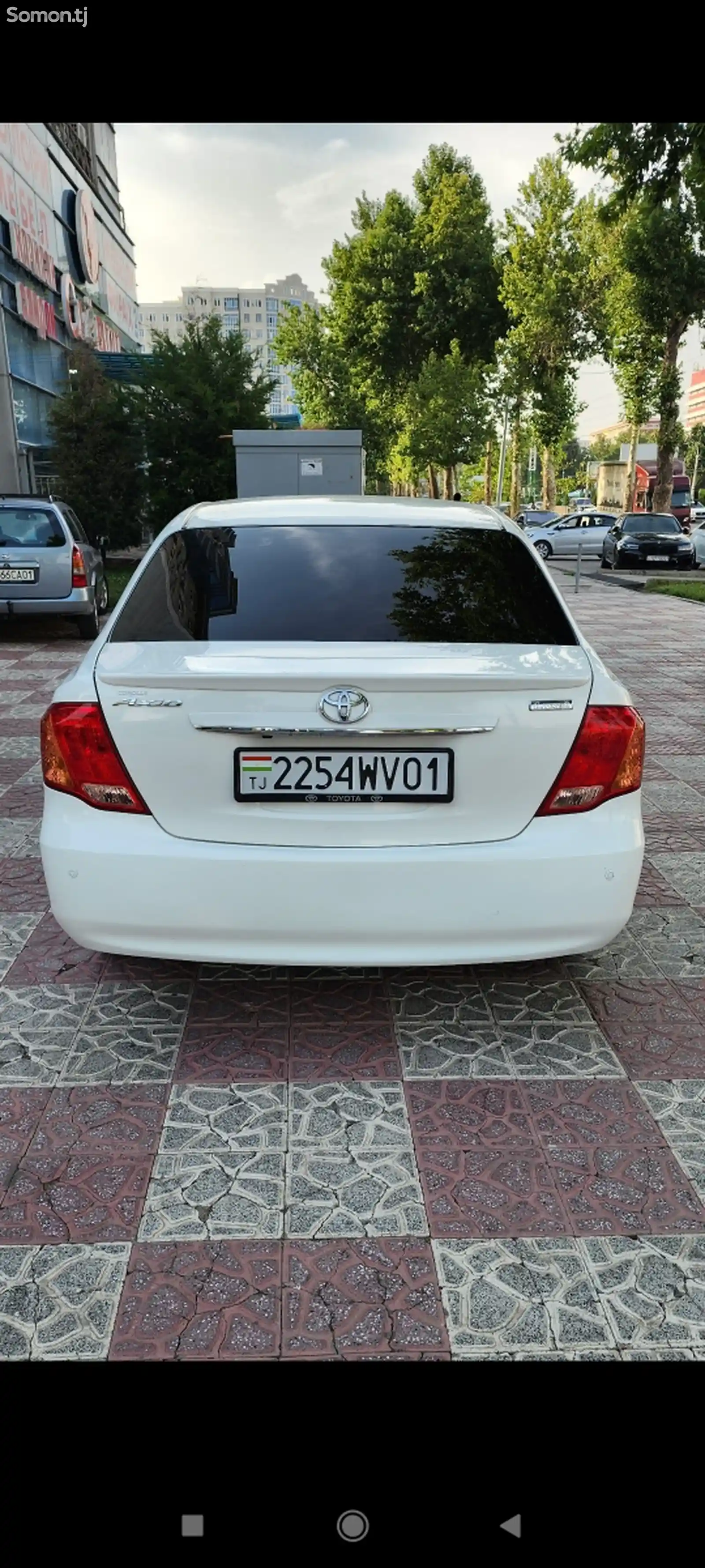 Toyota Axio, 2008-3