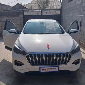 Hongqi E-HS3, 2019