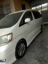 Toyota Alphard, 2008-4