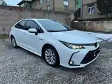 Toyota Corolla, 2024-2