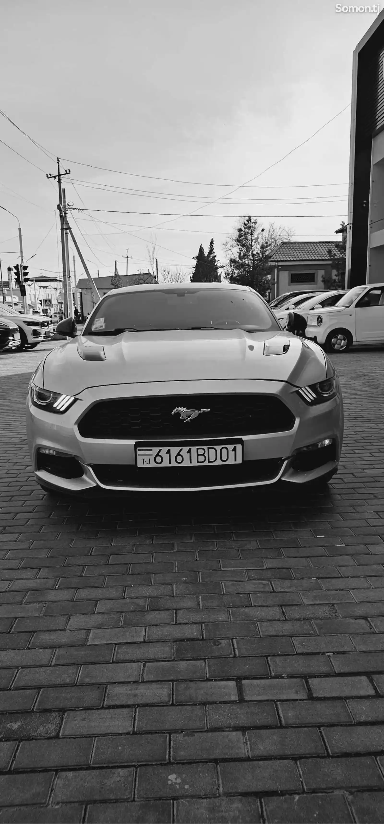 Ford Mustang, 2019-5