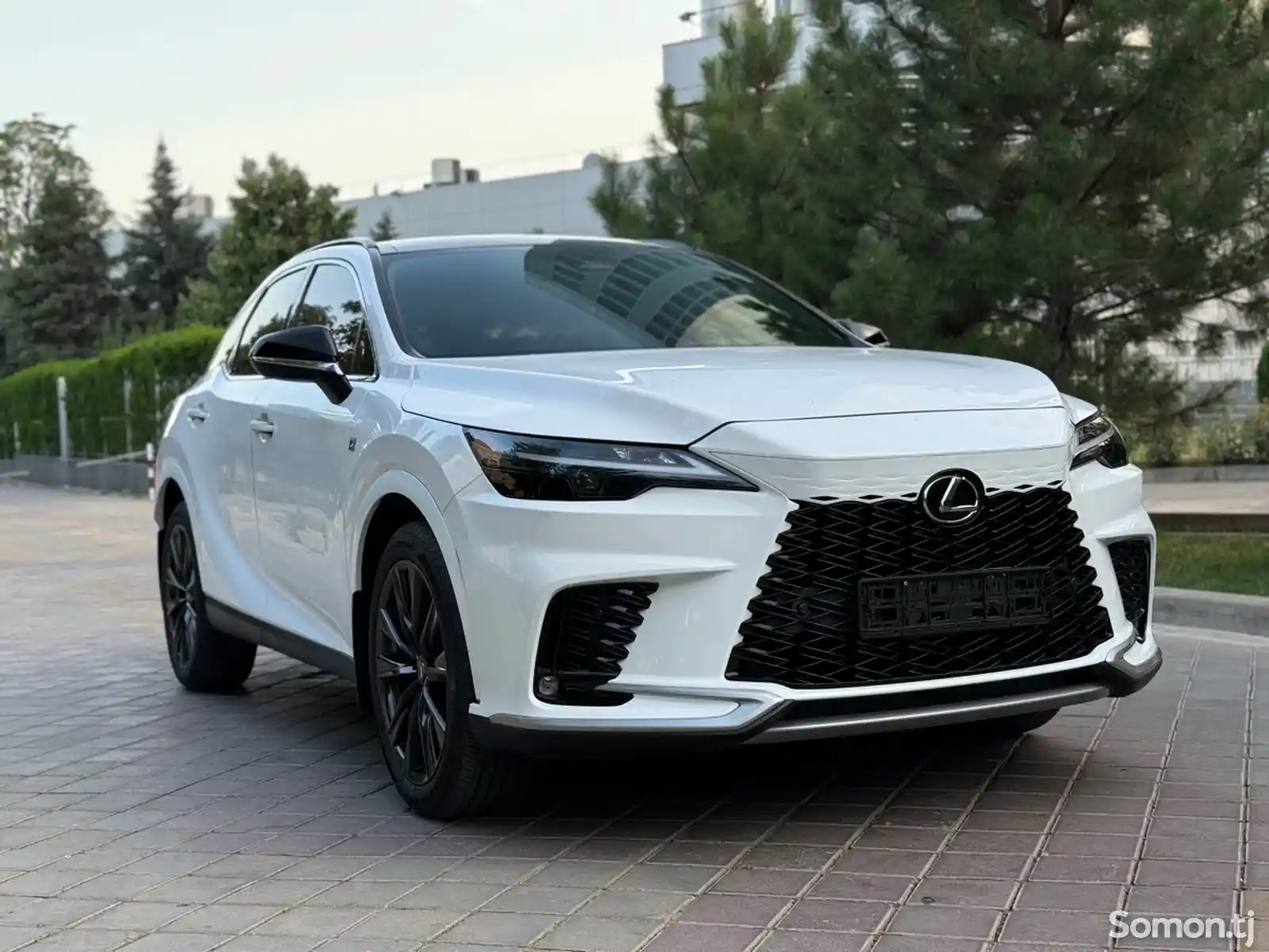 Lexus RX series, 2023-3