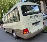 Микроавтобус Hyundai County, 2017-7