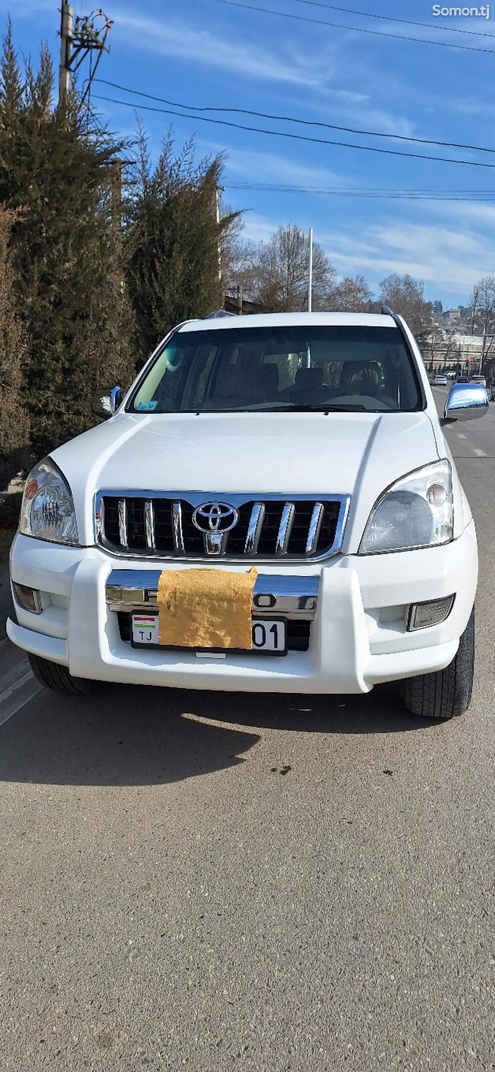 Toyota Land Cruiser Prado, 2008-1