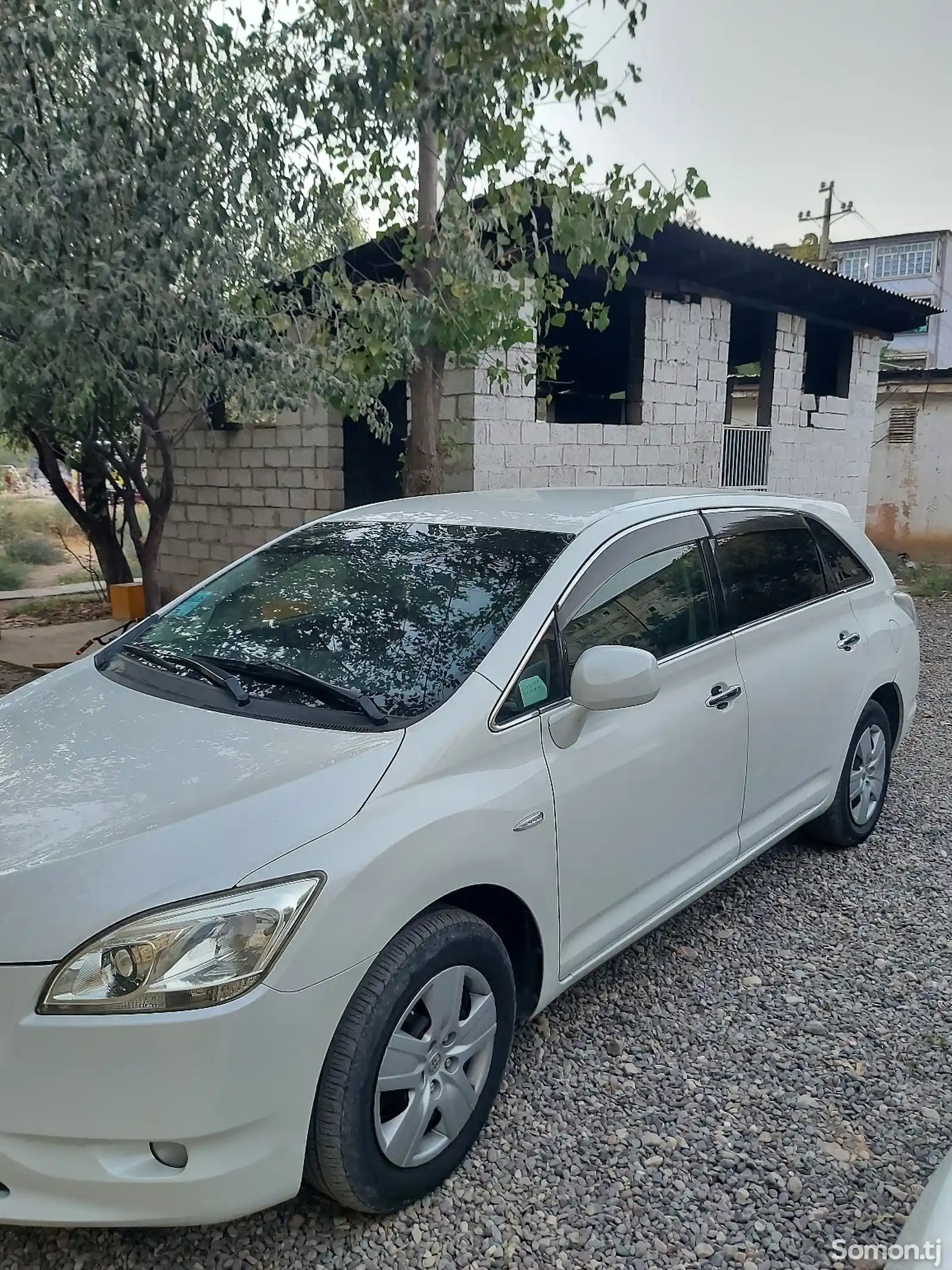 Toyota Mark X ZiO, 2007-6