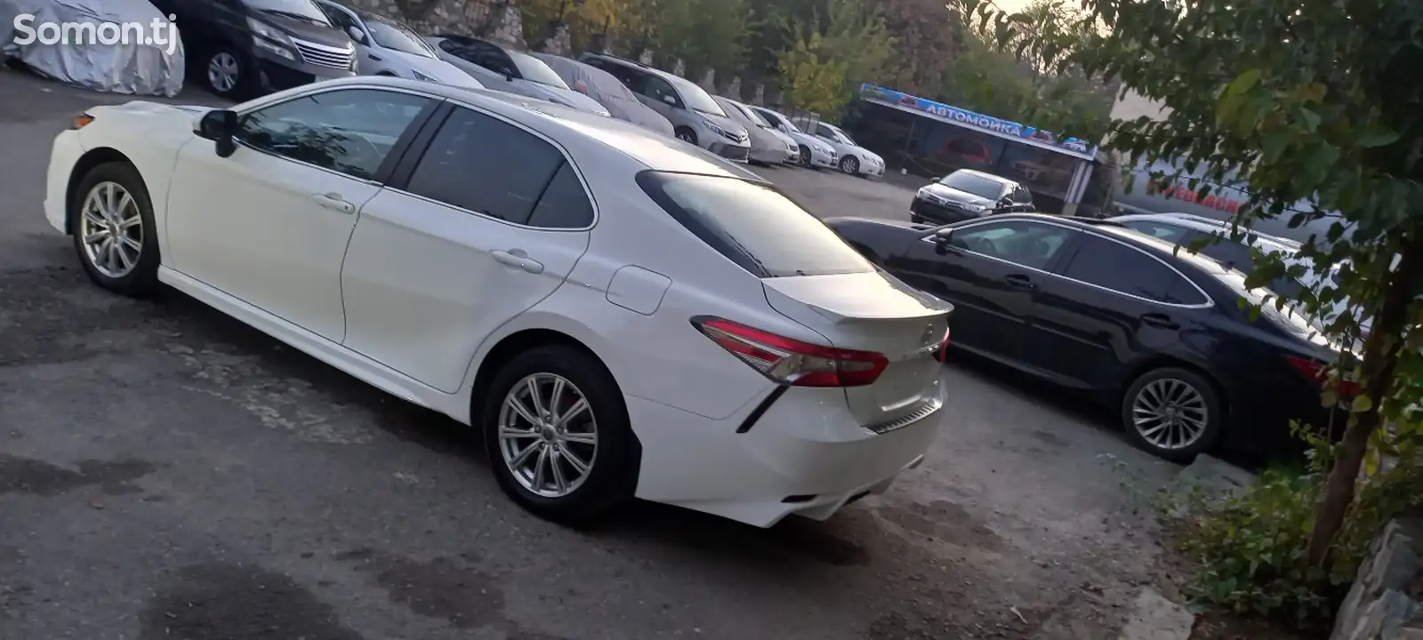 Toyota Camry, 2019-8