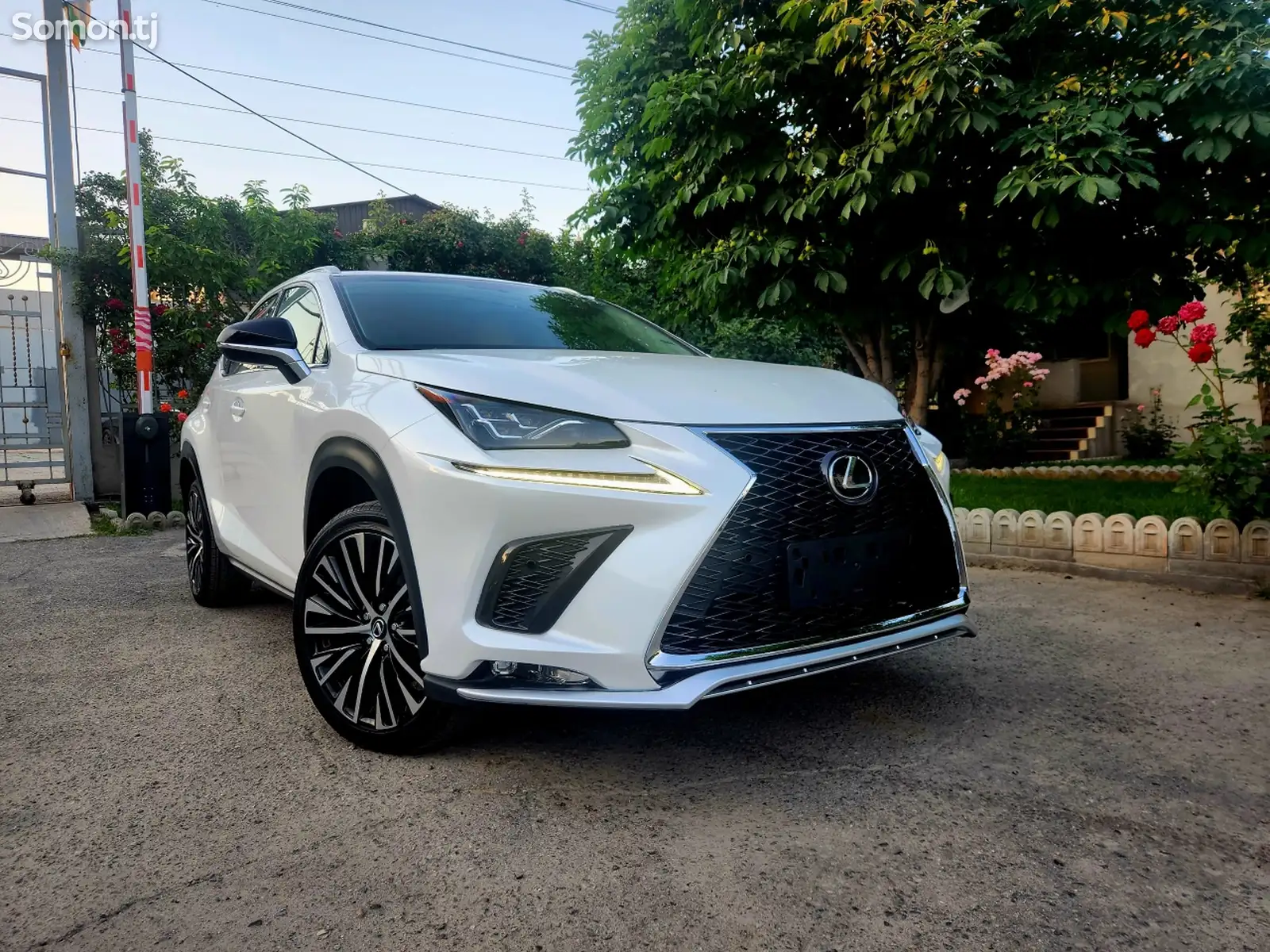 Lexus NX series, 2017-1