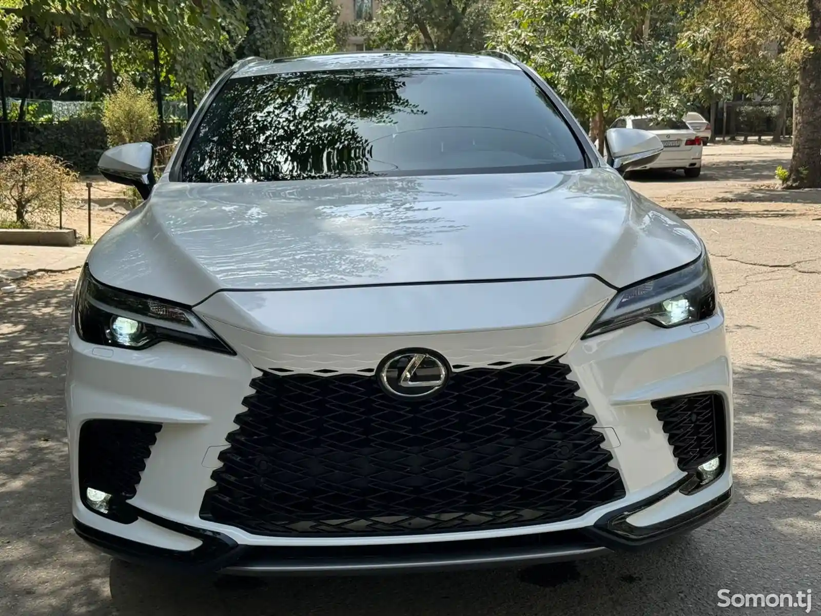 Lexus RX series, 2023-15