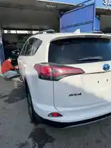 Toyota RAV 4, 2018-7