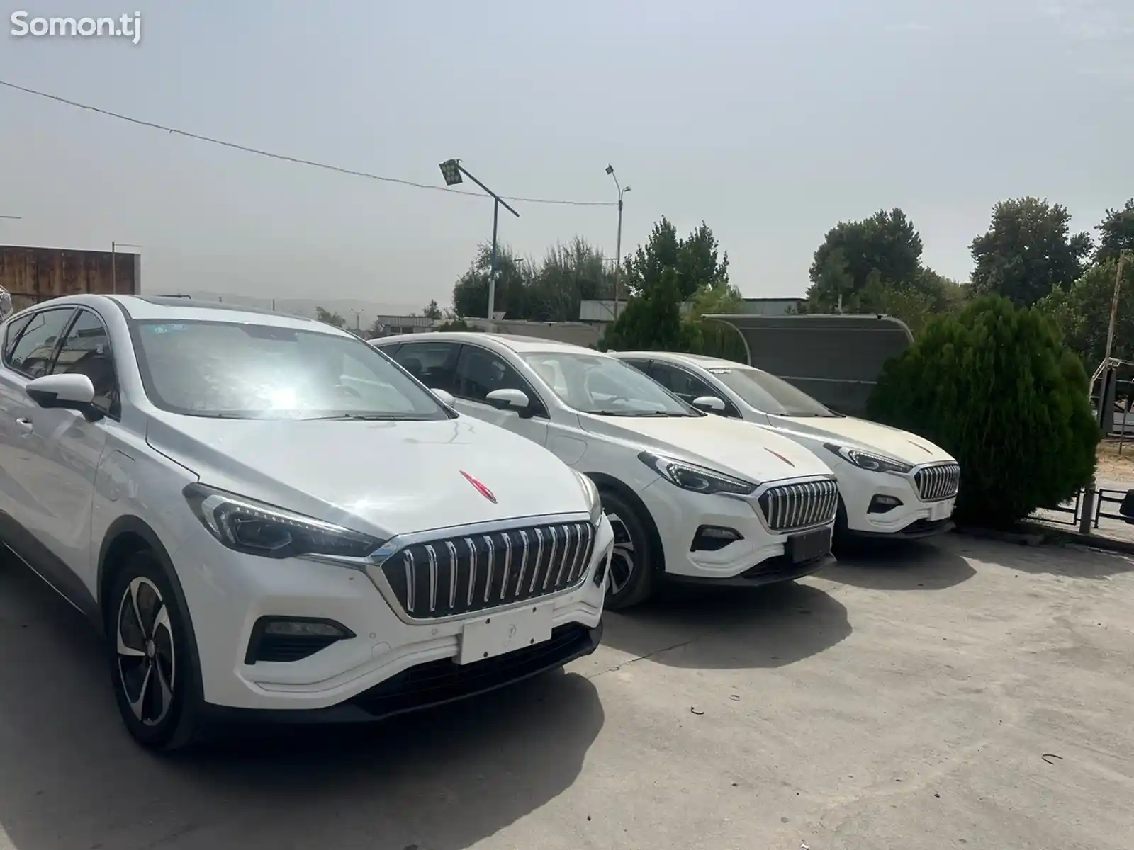 Hongqi E-HS3, 2019-1