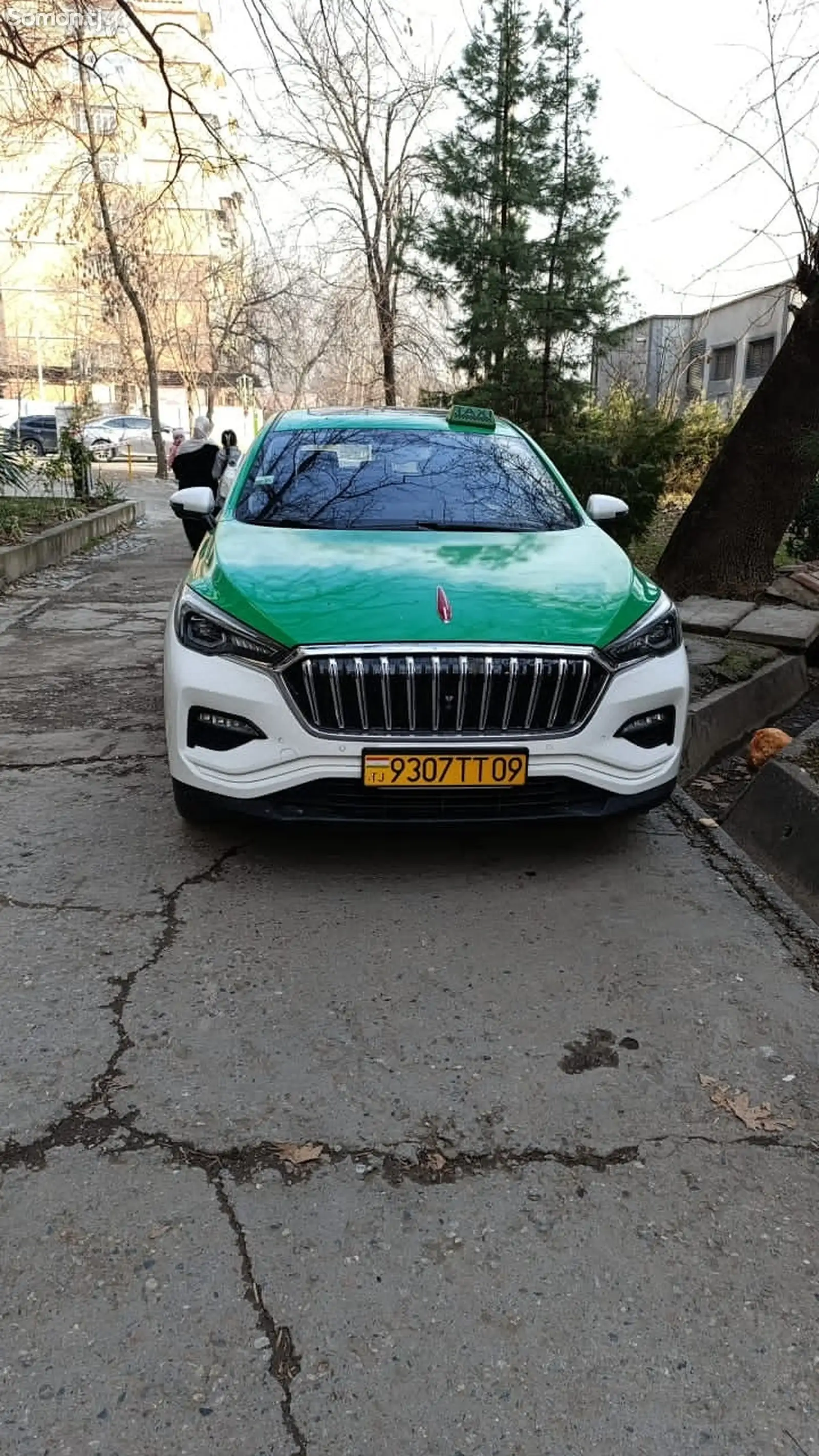 Hongqi E-HS3, 2019-1