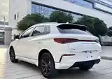 BYD E2, 2020-4