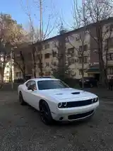 Dodge Challenger, 2019-4