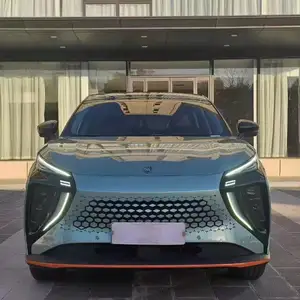 Dongfeng Forthing, 2023