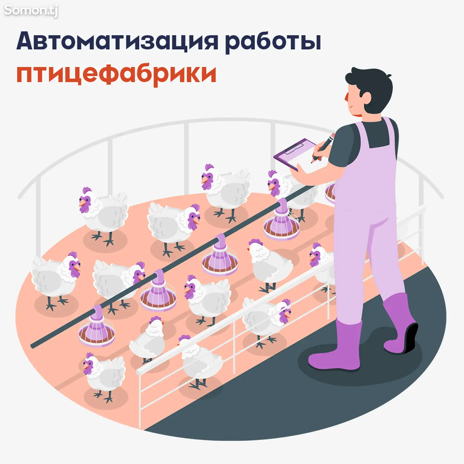 Автоматизация работы птицефабрики