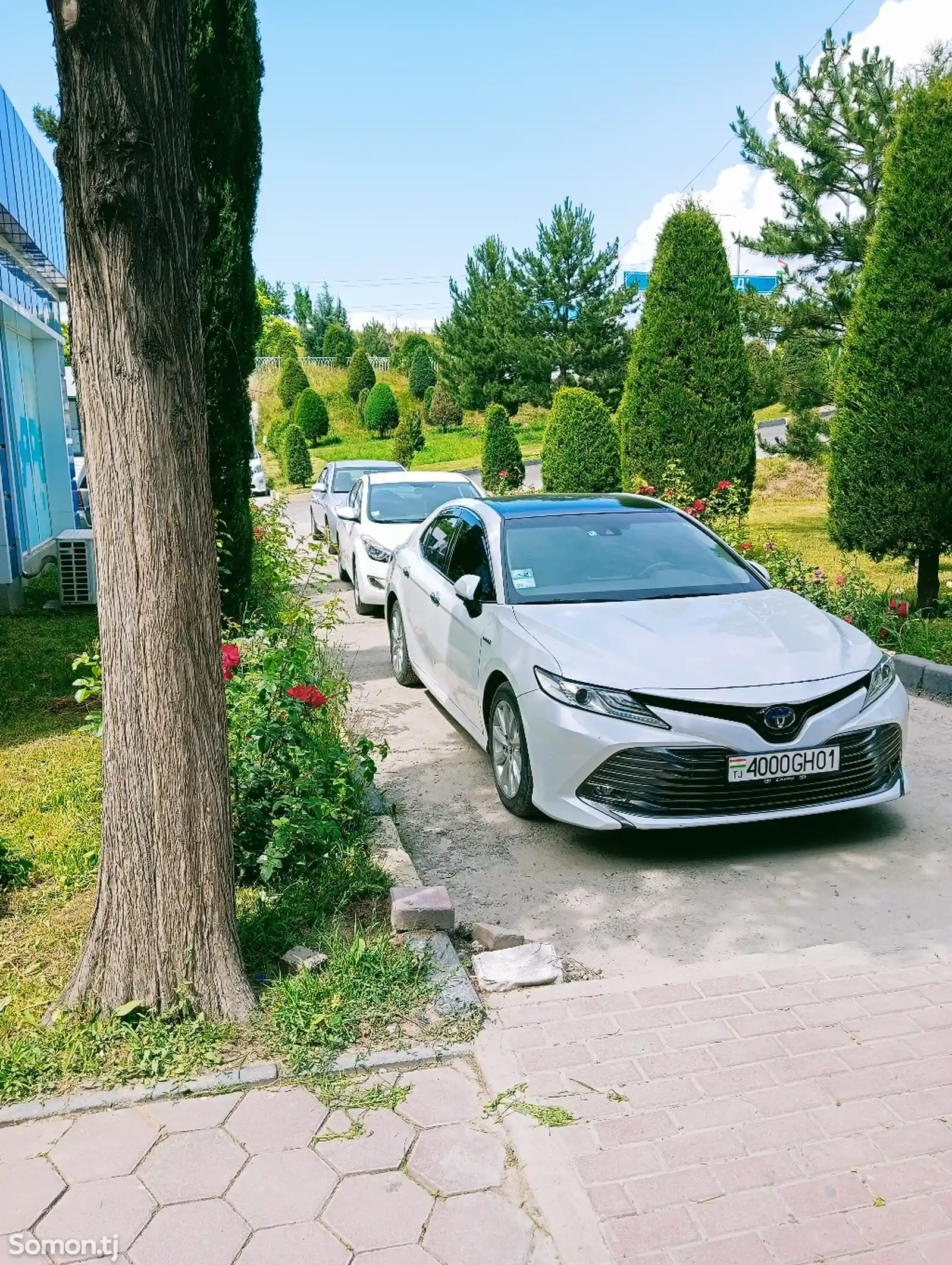 Toyota Camry, 2018-1