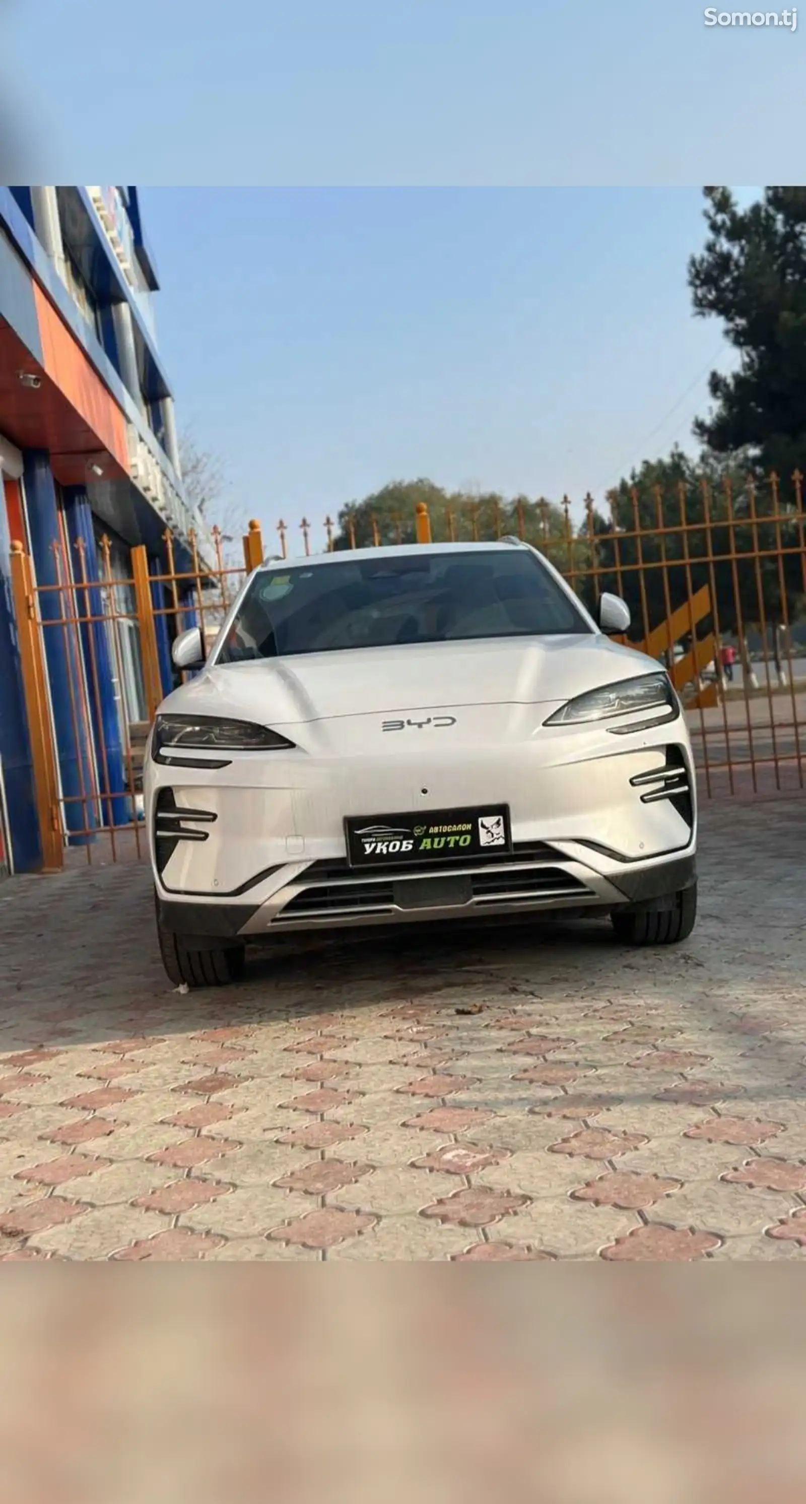 BYD Song Plus Flagship, 2024-1