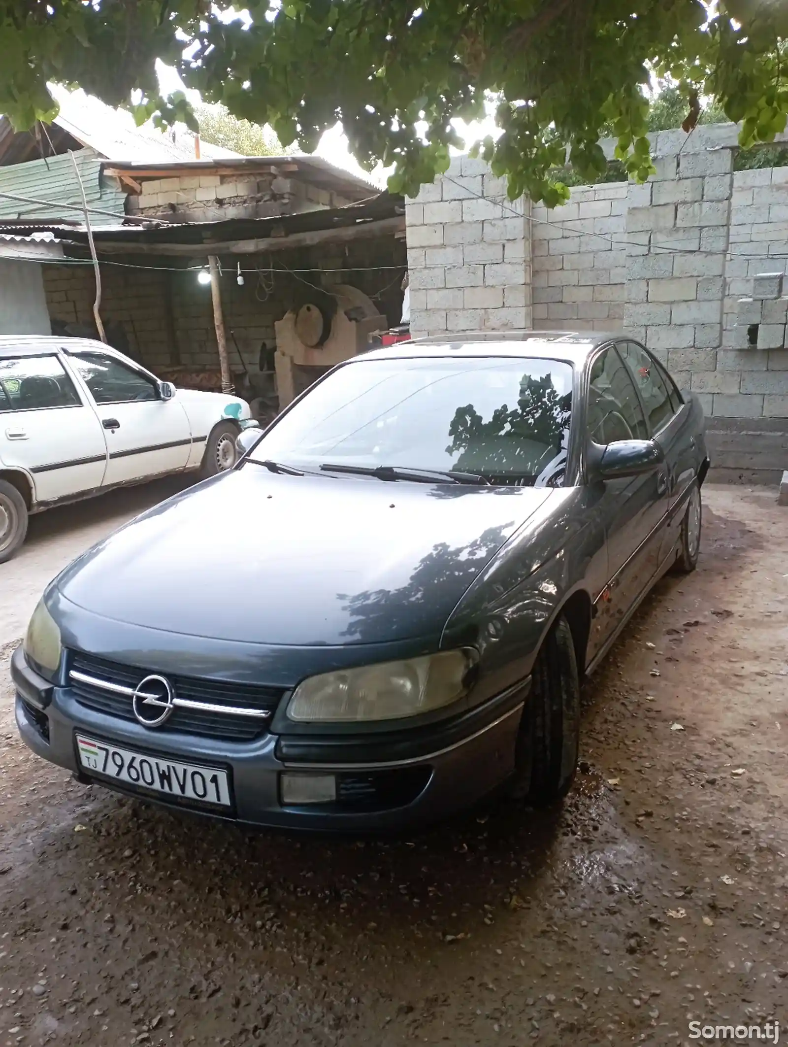 Opel Omega, 1996-4