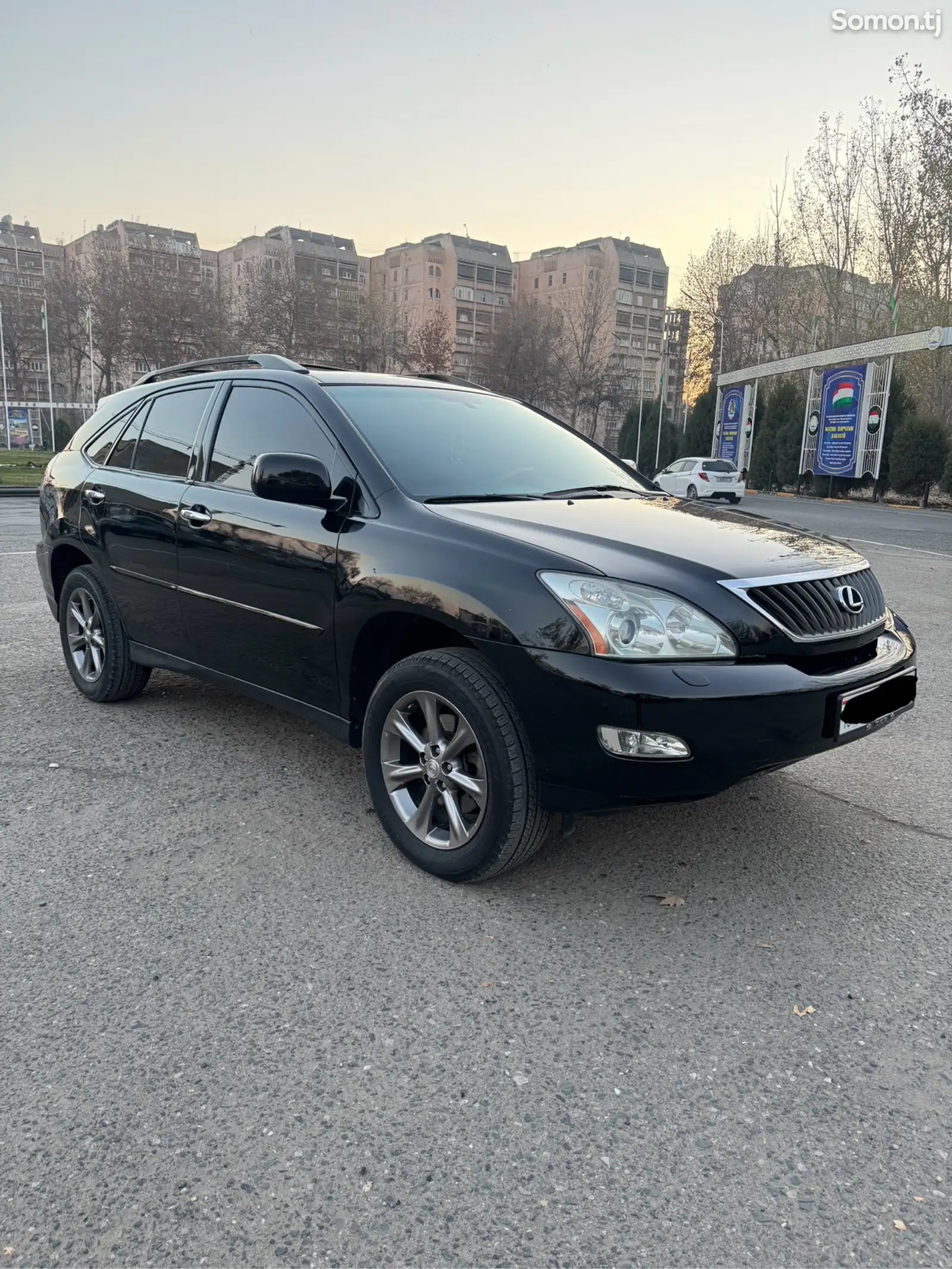 Lexus RX series, 2009-1