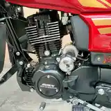 Мотоцикл GLX-Suzuki 200сс куба-6