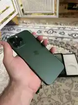 Apple iPhone 13 Pro Max, 256 gb, Alpine Green-9